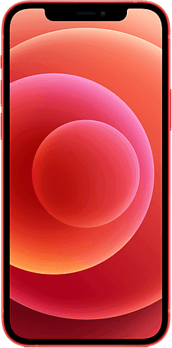 iPhone 12